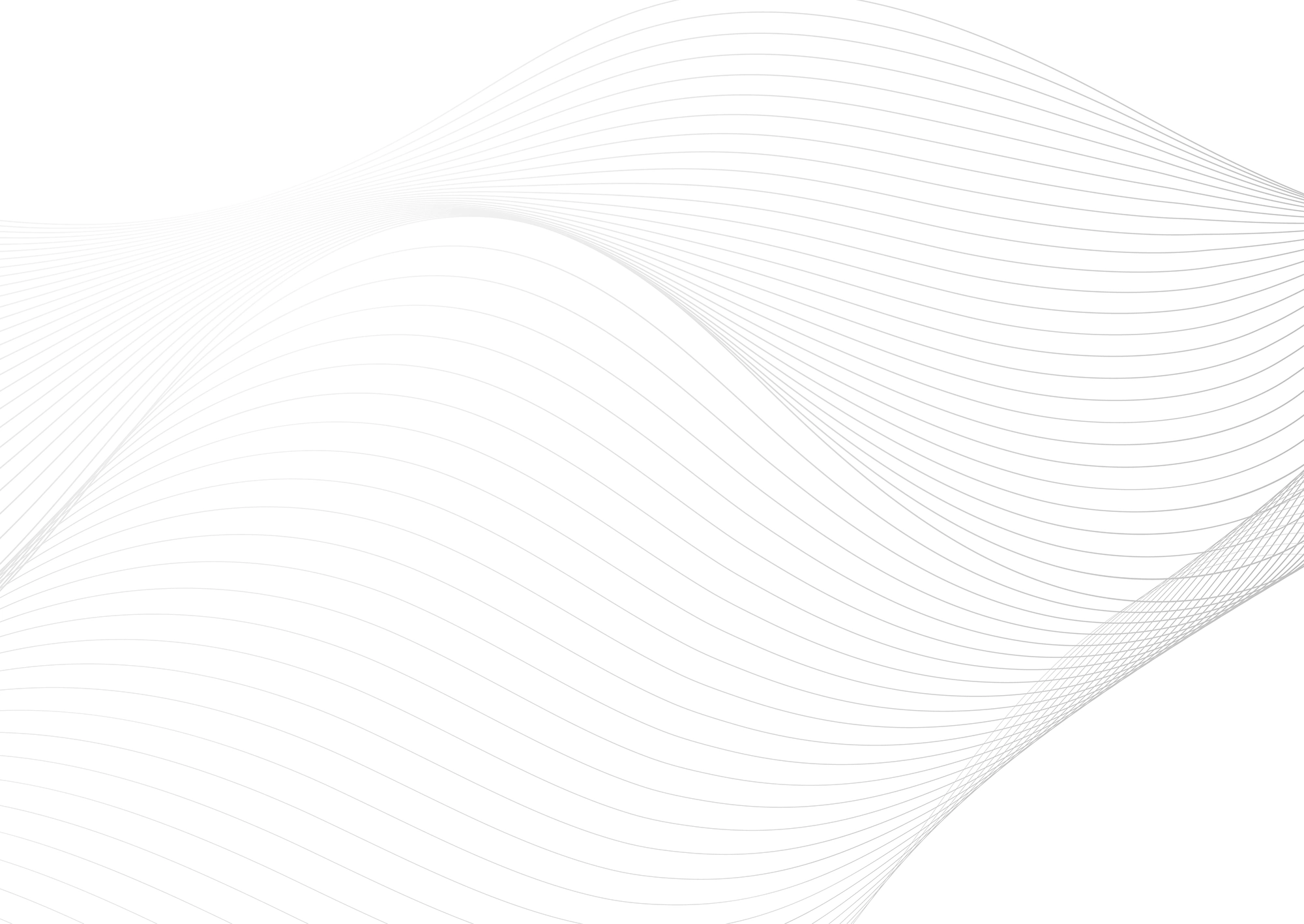 Web Site Tasarımcısı, Canik